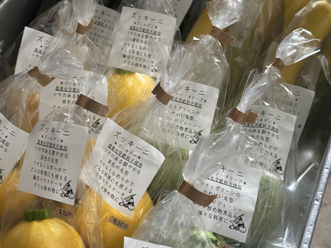 【箱いっぱいにお届け！】農薬不使用キラピカ旬野菜BOX11〜12品、朝穫れ農の島＊大三島＊よりお届け！