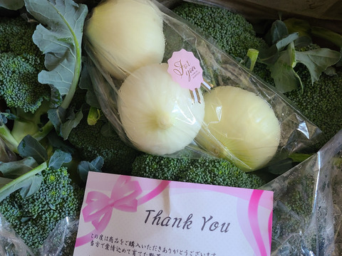 《熊本県産》採れたて新鮮!!ブロッコリー7玉🥦