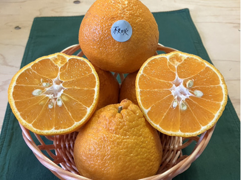 鹿児島県産「デコ不知火」箱込み5kg