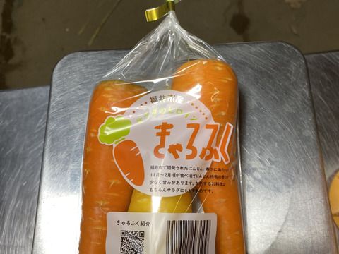 感動するほど甘い福井市特産「きゃろふく」ニンジン9Kg