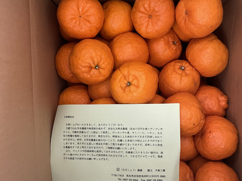 ポンカン【ご家庭用】２L 10kg箱入り　化学系農薬を使わない栽培　少しキズがあります