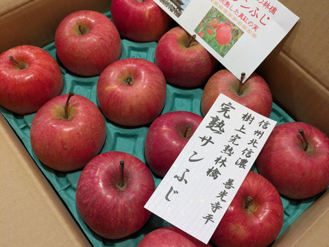 コレハお得だ！！完熟サンふじ　かわいいサイズ「小玉ちゃん」　丸かじりサイズ　お値下げ総決算価格！！　2.5キロコース（12個から13個入り）ご好評販売中