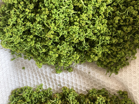 花山椒　京都産　計110グラム　B品(80グラム)とC品(30グラム)　天然