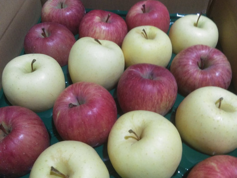 サンふじ　金星　詰め合せ5キロ