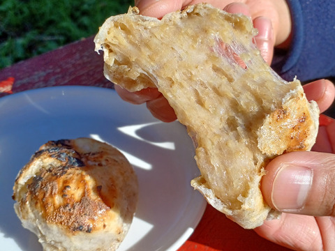 古代米餅「発芽玄米餅＆古代米ミックス餅」２袋セット　27日発送　有機JAS古代米