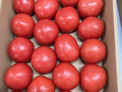 コクうま！『うまベジのサンロード』4キロ箱満杯詰め×3箱