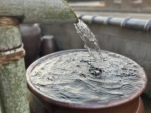 太さで勝負しません！筋が少なく旨味がある【800g】生でも食べれる湧水で育てたアスパラガス 佐賀県伊万里産
