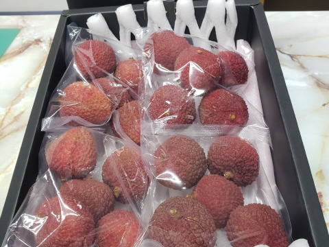 南国鹿児島産【生ライチ】最高峰品種玉荷包【国産】(約700g)【贈答用】【夏ギフト】