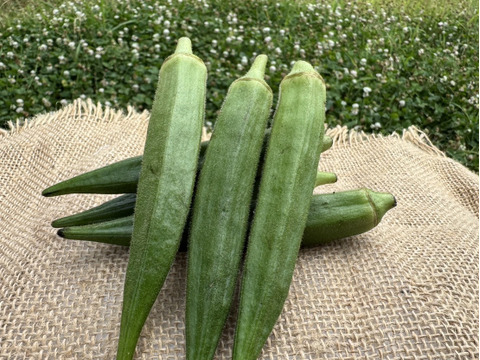 夏野菜セット】100年続く農家のおすすめ！夏野菜セット| 約4.2