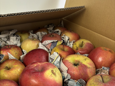 特別セール中🍎サンふじ★超お得!!加工用★無肥料.農薬節約30%〜.除草剤.摘果剤.摘葉剤不使用★【5kg】加工用/りんご