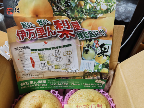 まぼろしの梨、「かおり」梨、2玉1.5キロ箱入り