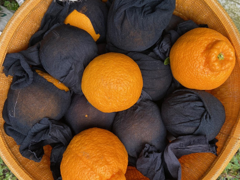 完熟★樹上熟成不知火　愛媛産　家庭用3キロ