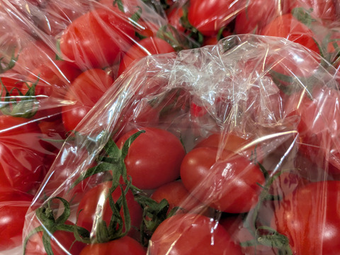 あま～いプチトマト（アイコ）がたっぷり1,5㎏入ります