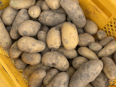 新じゃが4kg🥔淡路島からの新ジャガイモ〜メークイン