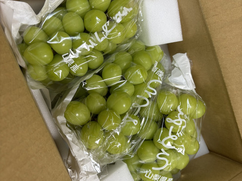 【予約販売！💚朝採れ山梨シャインマスカット】２キロ ３～４房！一度食べたら忘れられない 【生産量日本一の山梨県産】