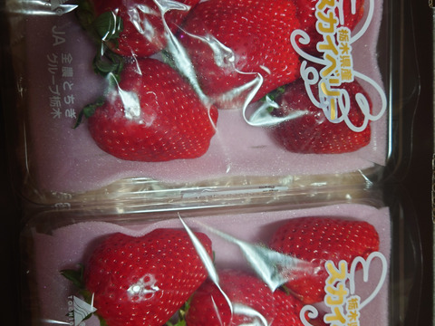 フレーズのこだわり完熟いちご『スカイベリー』280×2パック