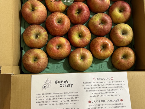 🍎【予約開始】10キロ🍎幸せの完熟葉とらずふじ32玉～48玉 青森りんご リンゴ 商品ID197581