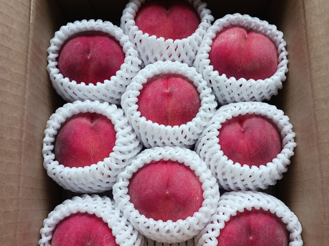 【白桃🍑あかつき】果汁たっぷりモチモチ系！訳あり 2kg