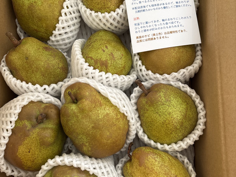 こだわり栽培 3kg ラ・フランス　家庭用　10〜15玉入り　生食・加工用どちらでも　山形県産西洋梨ラフランス