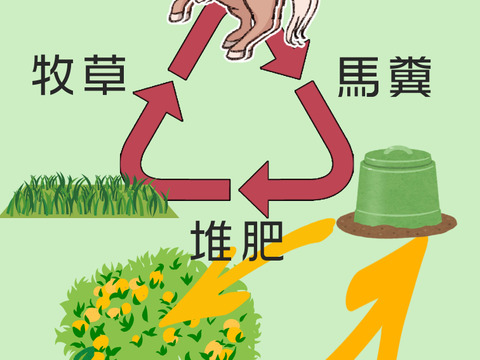 【愛媛県中島産】コクあるみかん！南柑20号　サイズ混合5キロ