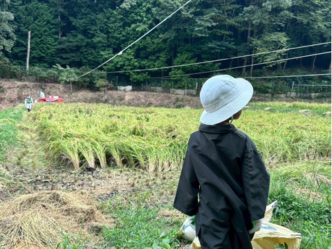新米！奈良県山添村の『コシヒカリ』（玄米）1kg
