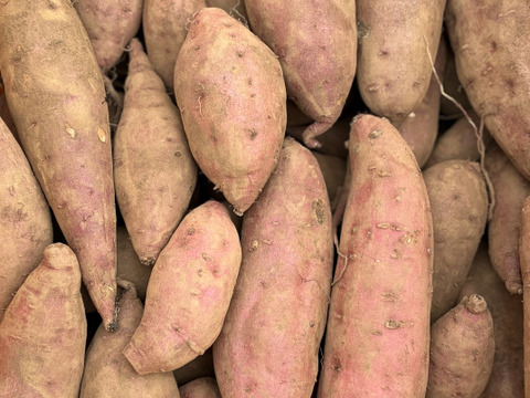 高系14号 | ホクホク栗のような上品な甘さ 島育ちの熟成さつまいも 五島産 ４kg