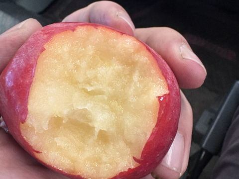 アルプス乙女りんご【訳あり 2kg  】