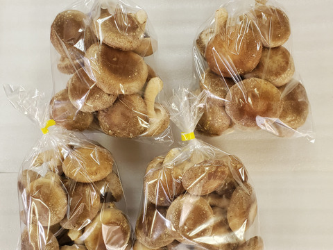 極厚！食べ応えあり！肉厚しいたけ（菌床）　2ｋｇ