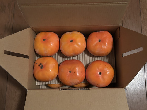 【冬に食べる】幻の柿 次郎柿！ワケありお徳用　中玉サイズ12〜14個入（3ｋｇ）