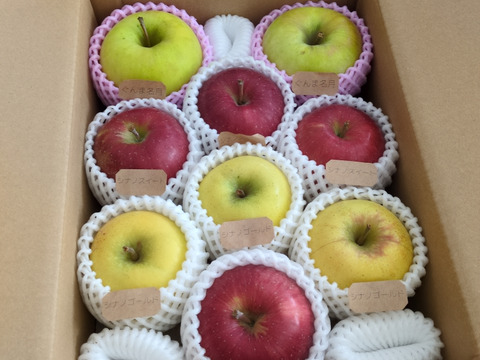 ご自宅で気軽に食べたい方へ「旬のりんごおまかせ便」3キロ【りんご食べ比べ】