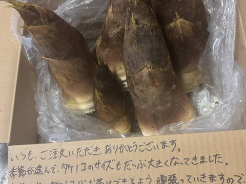 【訳あり　規格外】大きめ　生たけのこ6kg収穫当日発送！
