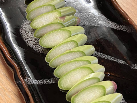 自然の恵みいっぱい雪国アスパラガス L〜2L 800g