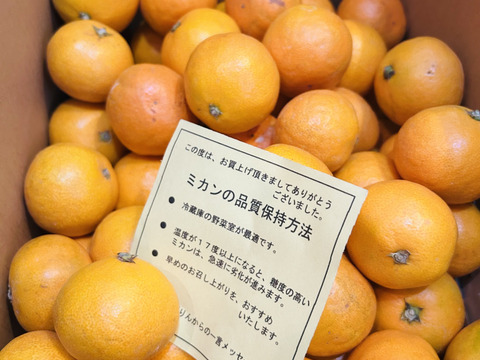 【訳あり】ゆらみかん小粒❨濃厚な味です4kg❩和歌山下津産