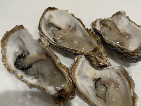 【1口5,000円】令和7年10月 牡蠣大量死 生産者応援チケット