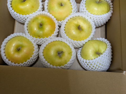 甘さならこのりんごです！葉取らず栽培りんご『トキ』　ご自宅用２Kg　６個から８個入り