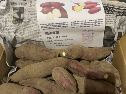 熟成さつまいも　姫あやか5k