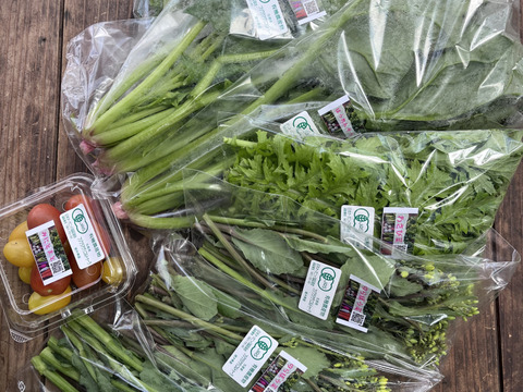 1.7㎏！野菜おまかせセット☆有機JAS認証