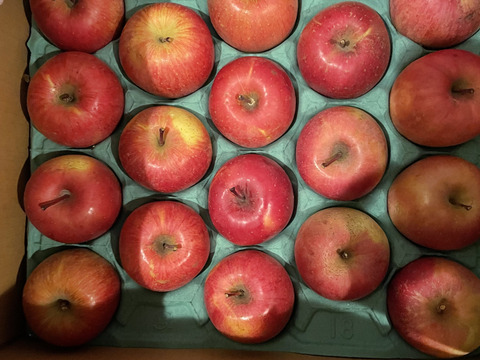 残りわずか！味濃い甘い！サンふじ☆無肥料.農薬節約30%〜.除草剤.摘果