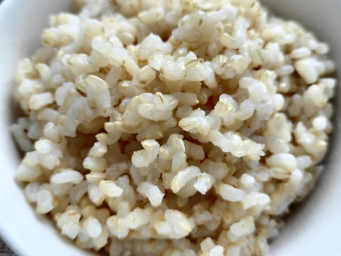 【令和7年新米】【自然栽培米】【ちばエコ】農薬·化学肥料.動物性肥料不使用 千葉県産コシヒカリ　【玄米5kg】粘り旨味甘みがバランス良く冷めてもしっとりモチモチ食感　【籾保管で鮮度保持】