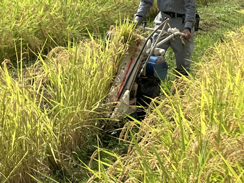 【令和７年産新米】ササニシキ玄米5kg★天日干し・自然栽培