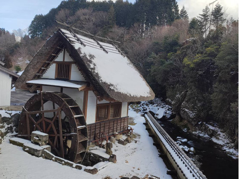 自然栽培大豆の香ばしい香り【きなこ】80g x 4袋