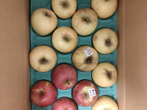 信州りんご🍎C品8キロ：長野県産のふじ｜食べチョク｜産地直送(産直)お