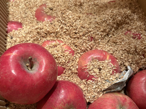 生産農家直送 信州りんご発祥の地 長沼りんご サンふじ 訳あり ご家庭用 5kg 長野県産 化学肥料不使用 除草剤不使用 人にやさしく環境にもやさしい農産物