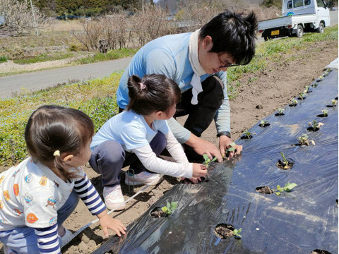 冬野菜セット9～10品目(３～4人分)　元イタリアンシェフが育てる「濃厚で甘み・苦味の濃い野菜」
家族で１週間楽しめる野菜セット【冬ギフト】