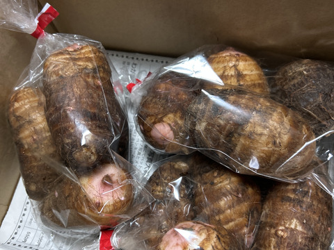 ヌメリはやや控えめでホクホクした食感のサトイモ『赤芽大吉』400g×3袋