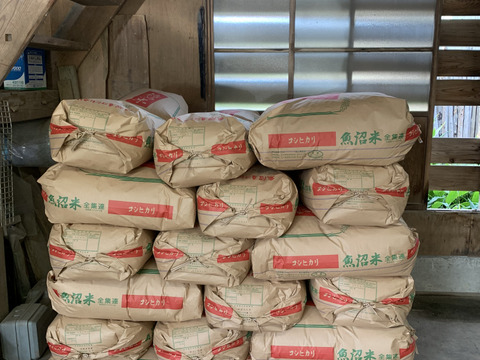 こんなに美味い‼️R7年『こしいぶき』‼️15キロ（玄米）※これで予約分最後です！