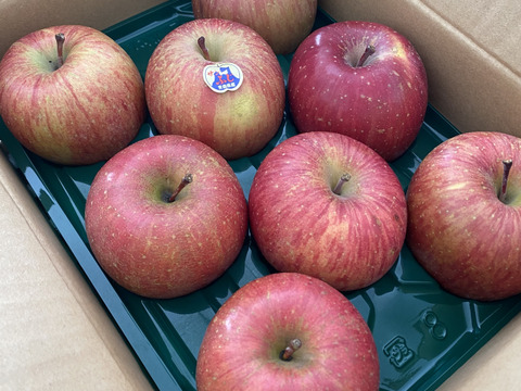 青森りんご 大人気 　旨いに自信アリ！【昔ながらの自然の味を凝縮したりんご】
極み家庭用自然りんご栽培葉とらずサンふじ2.5kg