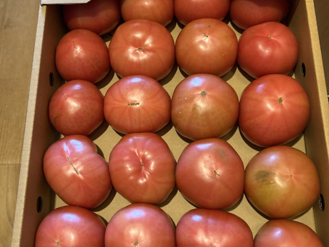 【訳有り品】キズあり不揃いトマト約3.6キロ