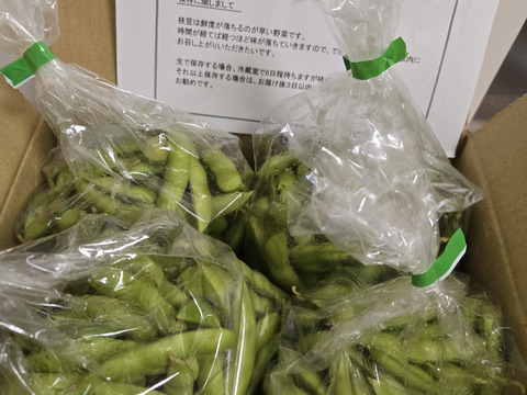 ＜うまっ！＞やみつき必須！うんめえ枝豆！　1800ｇ