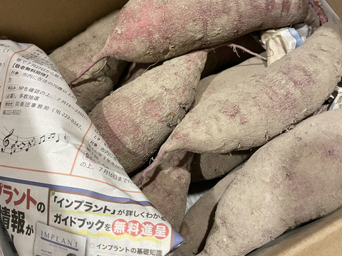 オレンジ色の機能性さつまいも　ハロウィンスイート2kg【漢方栽培】